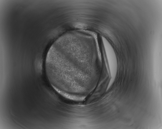 X0000089700404200707201744