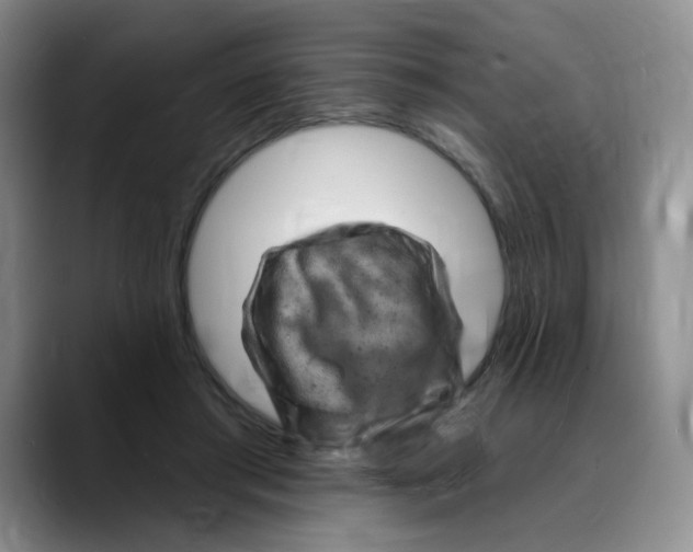 X0000089700405200707201744