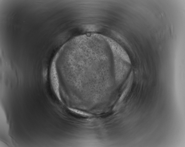 X0000089700406200707201744