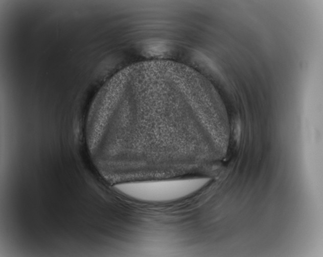 X0000089700408200707201744