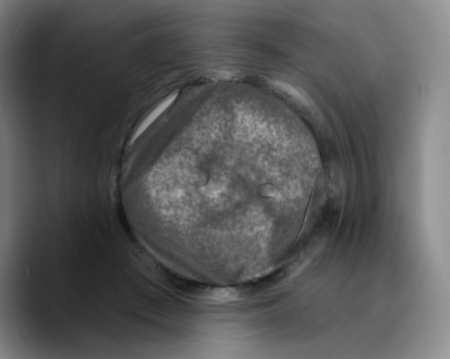 X0000089700409200707201744