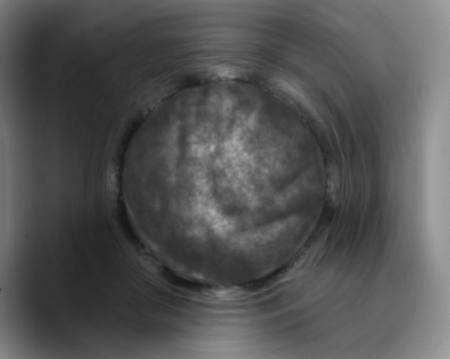 X0000089700410200707201744