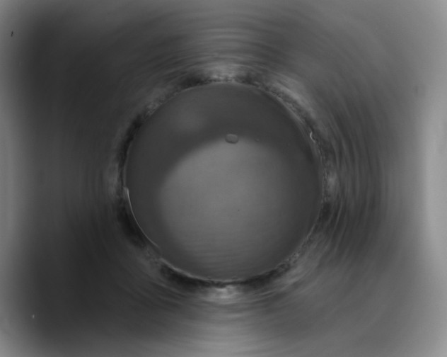X0000089700411200707201744