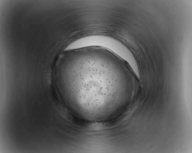 X0000089700413200707201744