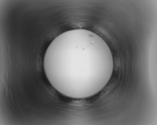X0000089700414200707201744