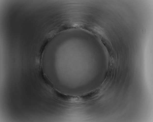 X0000089700415200707201744