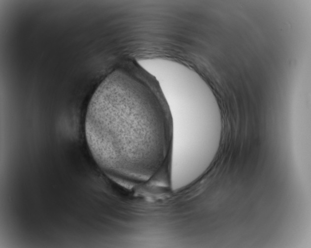 X0000089700416200707201744