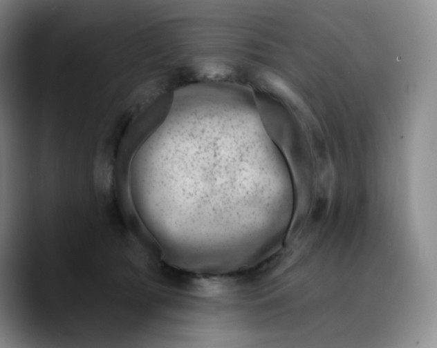 X0000089700417200707201744