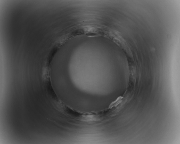 X0000089700419200707201744