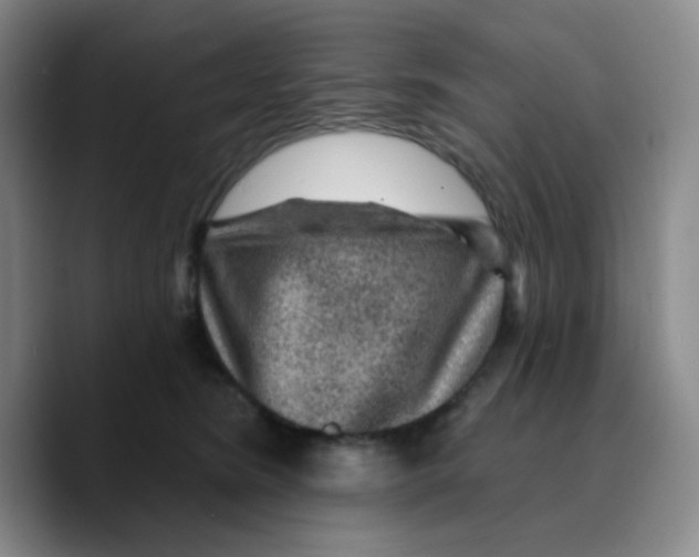 X0000089700420200707201744