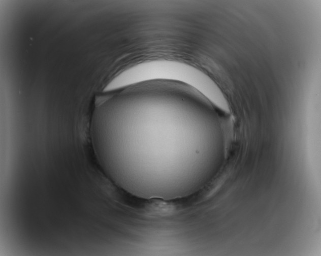 X0000089700421200707201744