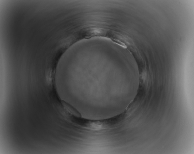 X0000089700423200707201744