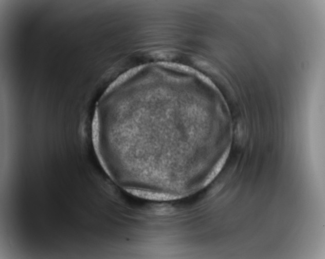 X0000089700424200707201744