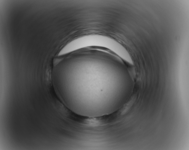 X0000089700425200707201744