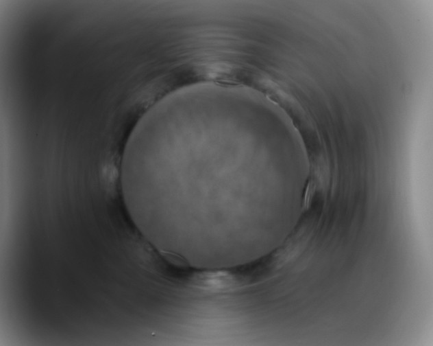 X0000089700427200707201744