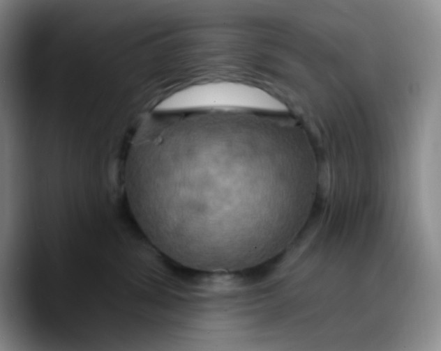 X0000089700428200707201744