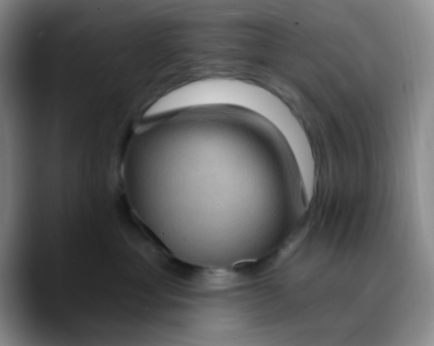 X0000089700429200707201744