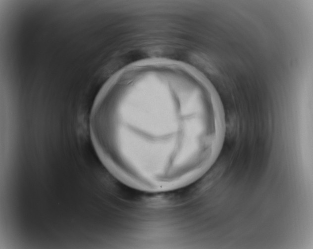X0000089700430200707201744