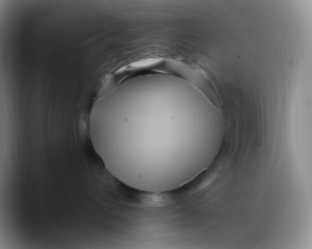 X0000089700432200707201744
