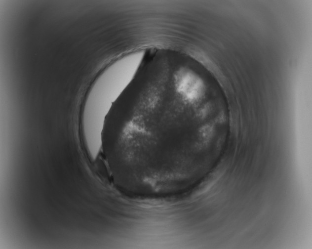 X0000089700434200707201743