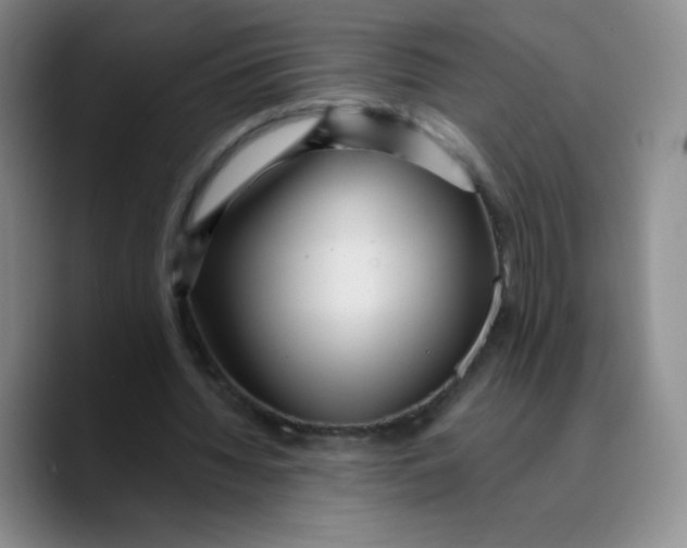 X0000089700436200707201743