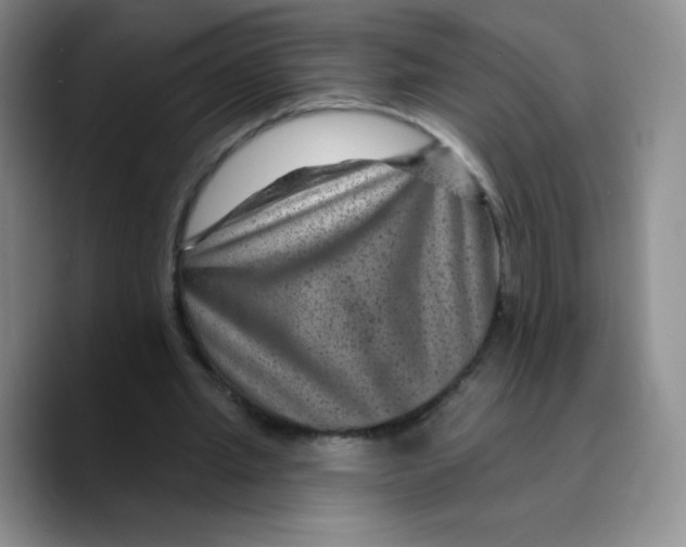 X0000089700437200707201743