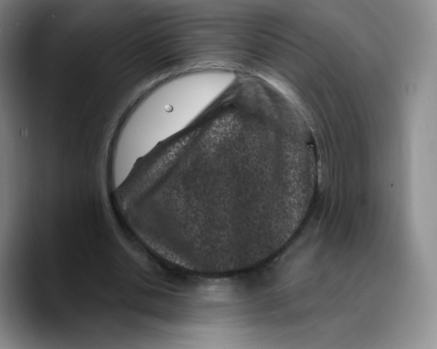X0000089700438200707201743