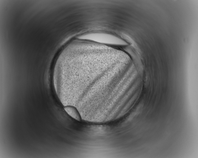 X0000089700439200707201743