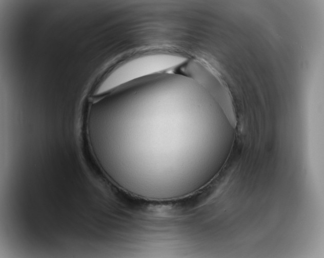 X0000089700440200707201743