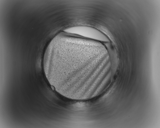 X0000089700441200707201743