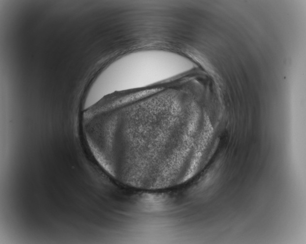 X0000089700442200707201743