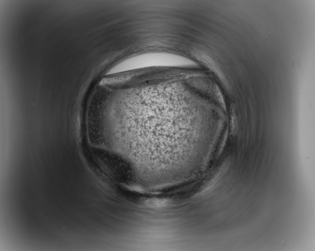 X0000089700444200707201743