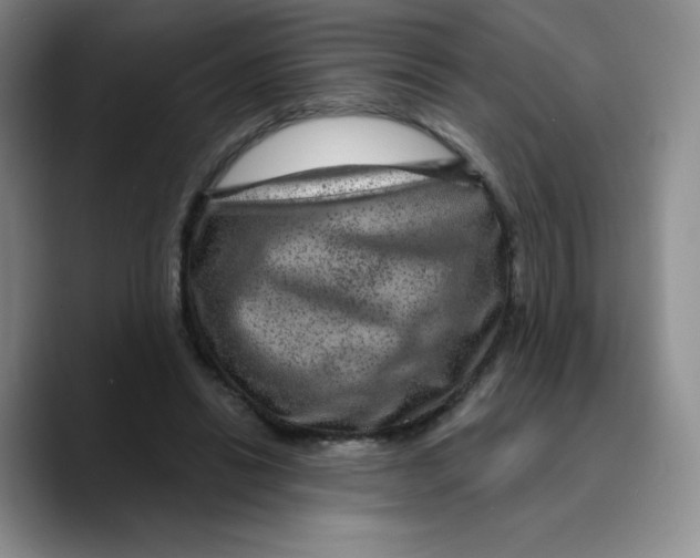 X0000089700446200707201743