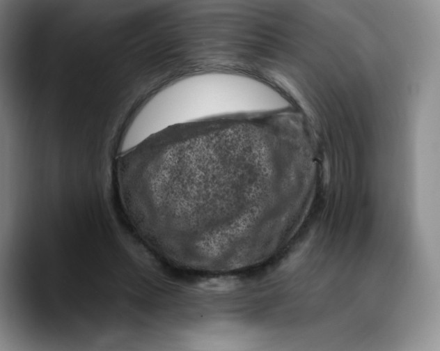 X0000089700447200707201744