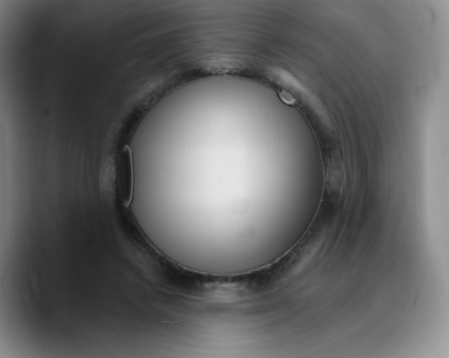 X0000089700448200707201744