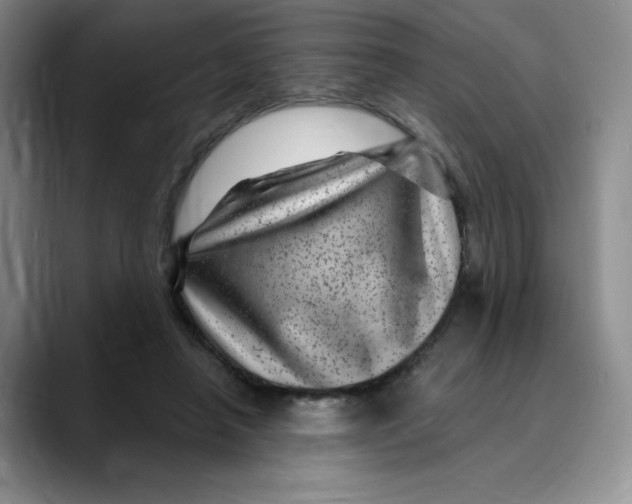 X0000089700450200707201744