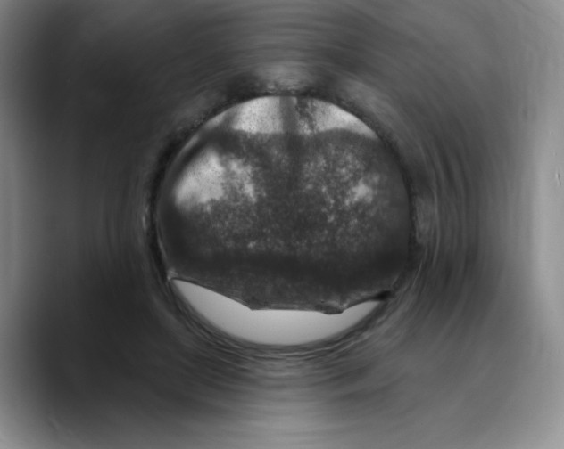 X0000089700451200707201744