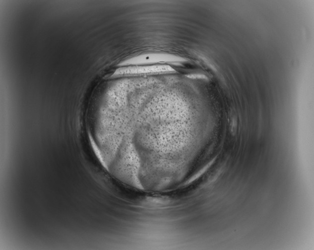 X0000089700455200707201744