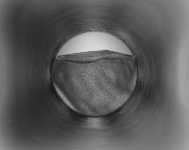 X0000089700457200707201744