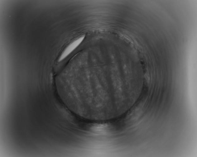 X0000089700458200707201744