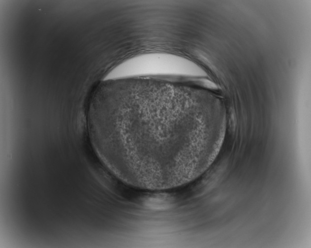 X0000089700459200707201744