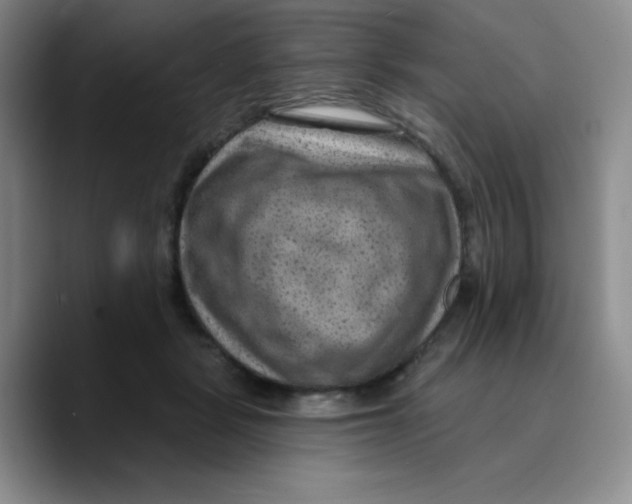 X0000089700461200707201744