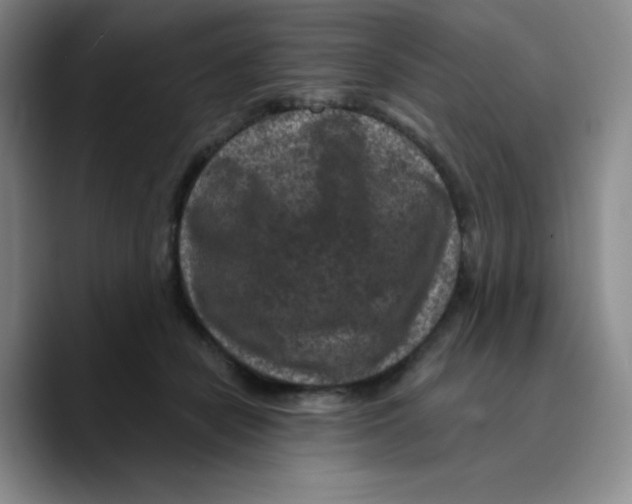 X0000089700462200707201744