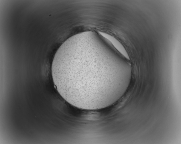 X0000089700463200707201744