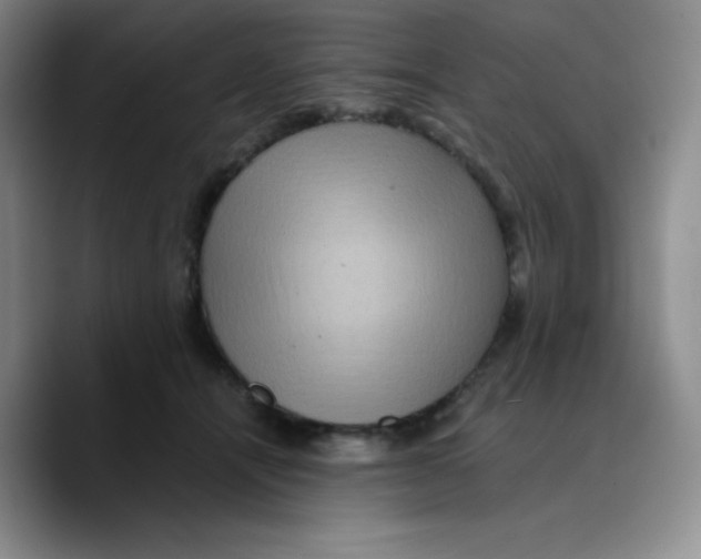 X0000089700464200707201744