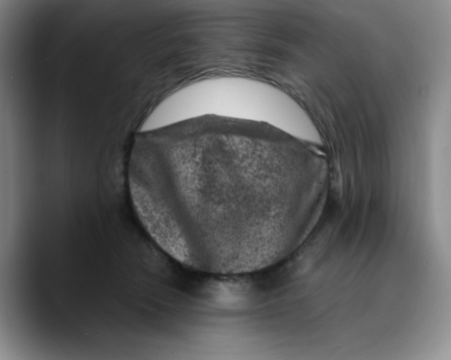 X0000089700466200707201744