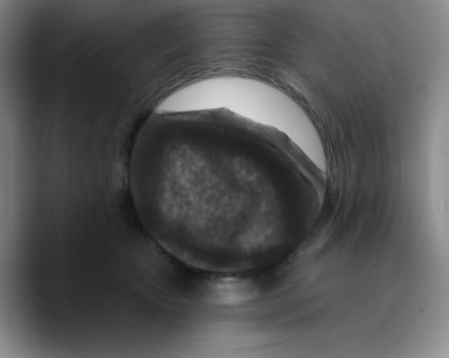 X0000089700467200707201744