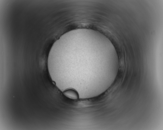 X0000089700468200707201744