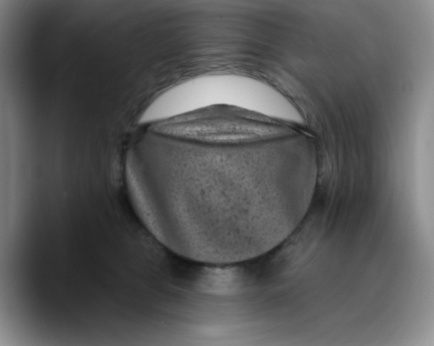 X0000089700469200707201744