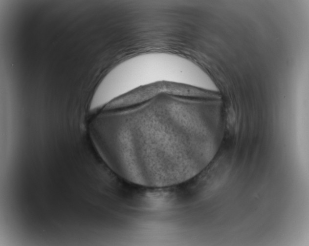 X0000089700470200707201744